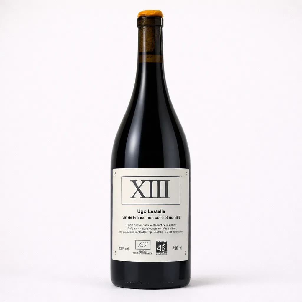 XIII 2023